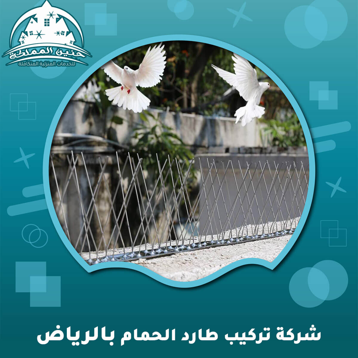 شركة تركيب طارد الحمام بالرياض