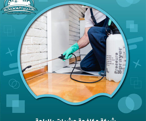 شركة مكافحة حشرات بالباحة